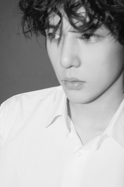 宋儿王安宇恋情爆料最新,甜蜜互动引网友热议